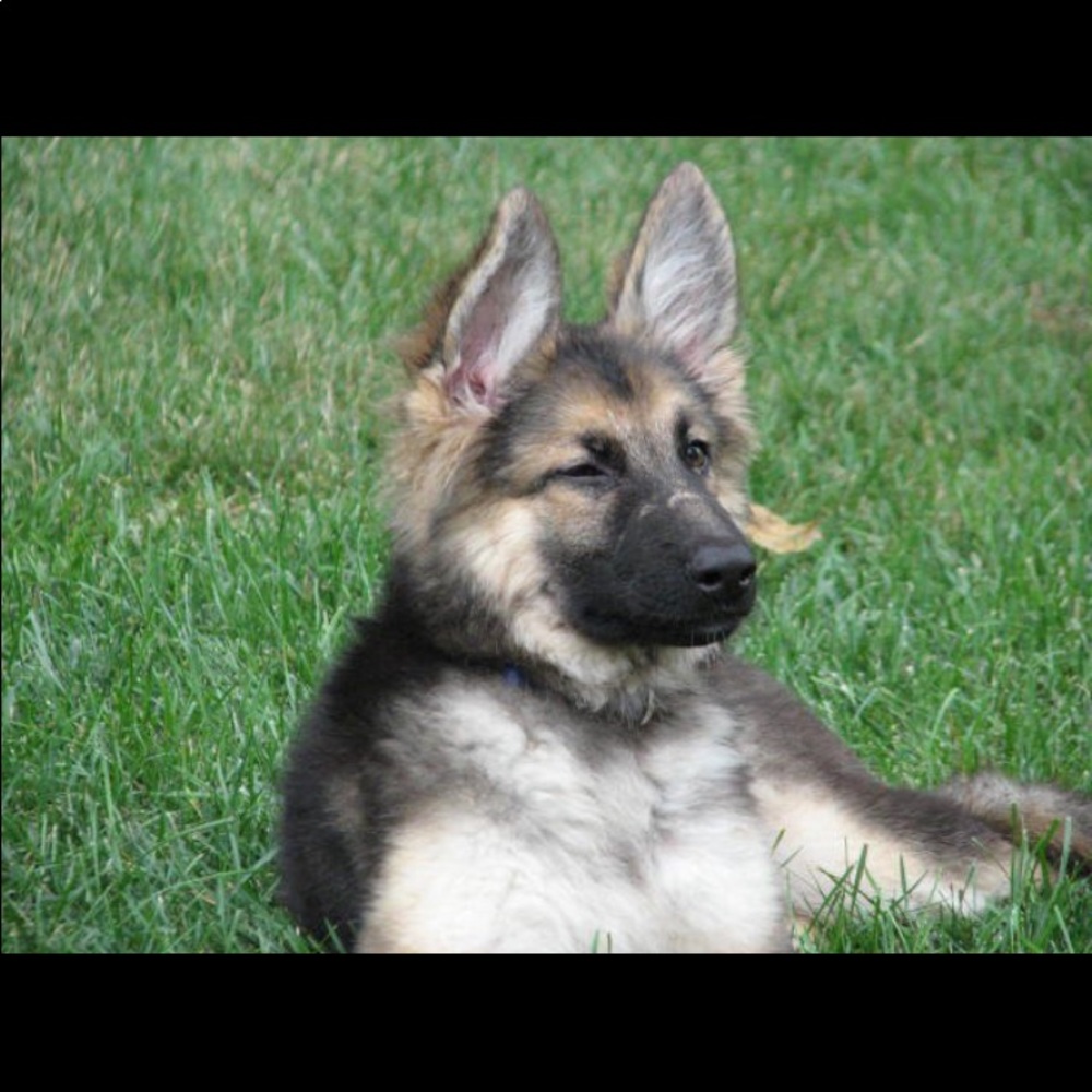 Meet your Posher, Hannah